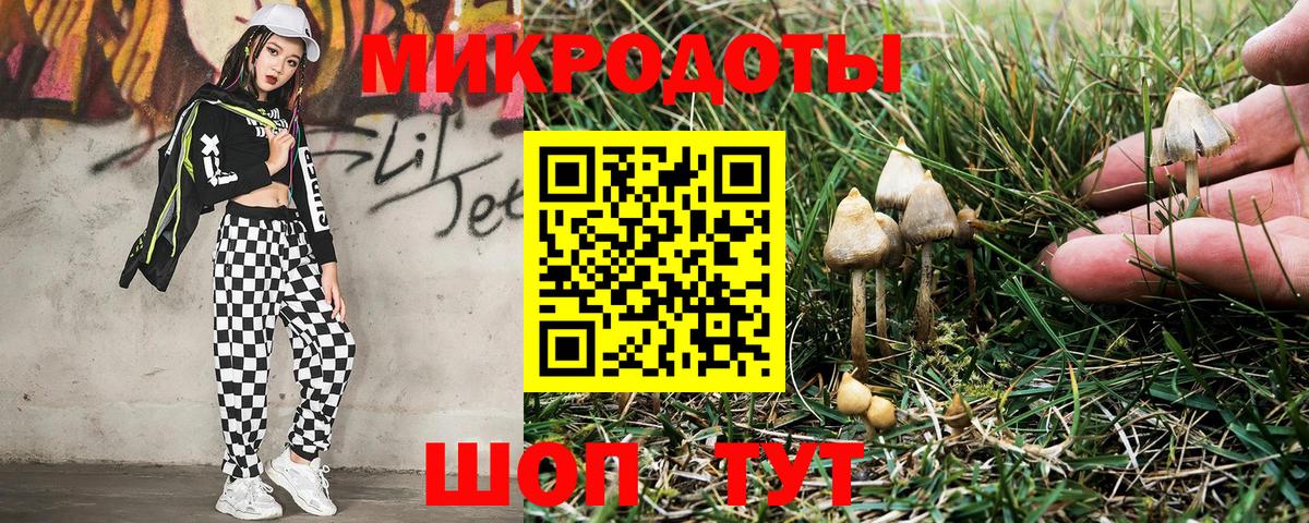 Псилоцибиновые грибы Magic Shrooms Асино